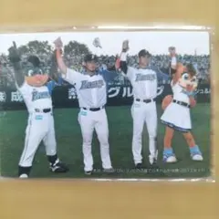 カルビー 2014年 プロ野球チップス 大谷翔平 中田翔 チェックリスト