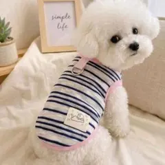 犬服 ボーダー柄 ベスト Sサイズのサムネイル