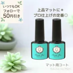 【速発送】フィニッシュプロマット 2本セット＊隠れ工房GreenOcean