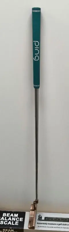 2026年最新】KARSTEN TR Anser 5 パターの人気アイテム - メルカリ