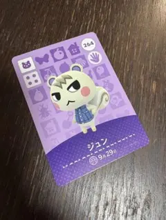 ジュン トレーディングカード 264