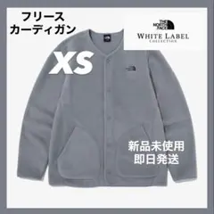 【韓国限定】ノースフェイス フリース　ACAMPO グレー　XS 新品未使用