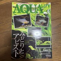 アクアライフ　2015年6月　みどりとアピスト