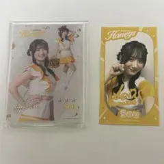 福岡ソフトバンクホークス タカコレくじ ハニーズ 秋花 - メルカリ