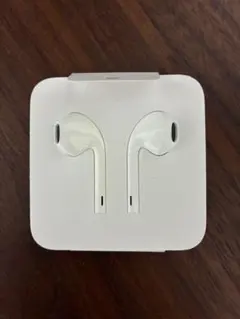 【新品・未使用】Apple 純正品　有線イヤホン&変換アダプター