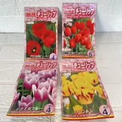 awe様 リクエスト 2点 まとめ商品