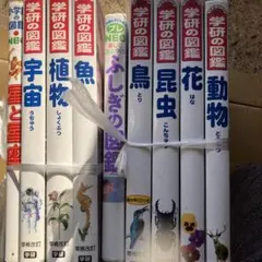 学研の図鑑シリーズ 他　全9冊　ふしぎの図鑑　表紙カバー無し