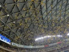 中日ドラゴンズ 記念グッズ