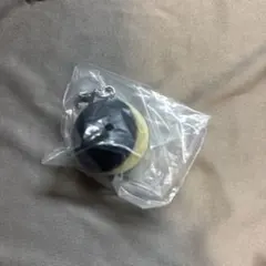 Item thumbnail for item 494f7319-a0cb-41de-9c73-a52029aa8615