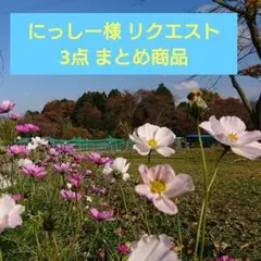 にっしー様 リクエスト 3点 まとめ商品