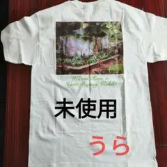 【未使用】✨️Hyatt Regency Waikiki✨️ Tシャツ