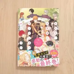 ある日、お姫様になってしまった件について　コミックス　13巻