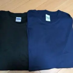綿100% Delawear Printstar Tシャツ 2枚セット Lサイズのサムネイル