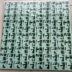 THE FIELD MICE『SKYWRITING』LP アナログ レコード - メルカリ