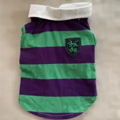 field glide 緑と紫のストライプ ペットパラダイス