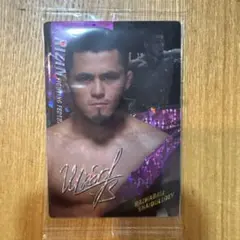 Razhabali Shaidulloev