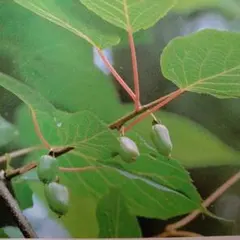 なべっち様 リクエスト 2点 まとめ商品