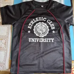 Item thumbnail for item 381951a8-4a7a-4d51-8947-aed31829e345