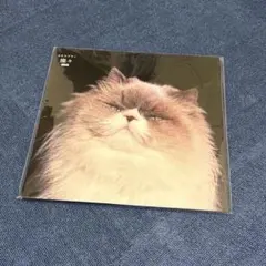 【未開封・重量版】カネコアヤノ 燦々 レコード
