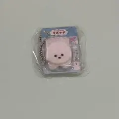 キズナデ ビションフリーゼ
