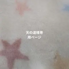 天の道様専用ページ