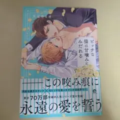 Item thumbnail for item 3bf716b3-9d4c-4ccc-9987-e4e48098b608