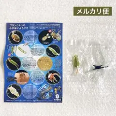 【未開封】海洋堂 カプセルQ ミクロミュージアム ホウネンエビのサムネイル