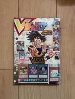 【カード付き】Ｖジャンプカードフェスタ2008 カードファイル シールドウィング りょ様専用 Vジャンプカードフェスタ2008 カードファイル シールド