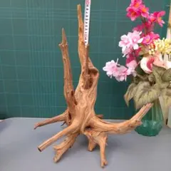 Item thumbnail for item 271c05db-e162-4e4a-8001-c8173a2501f0