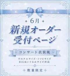 ♡新規オーダー受付ページ♡すのチル 衣装 ソフビ 阿部亮平テレビ衣装