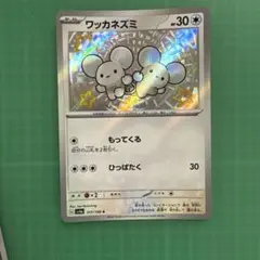値下げ中！ワッカネズミ SV4a 317/190 S 色違い - メルカリ