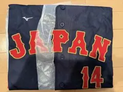 サッカー Jリーグ サンフレッチェ広島 田中聡選手 レプリカ