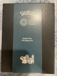 ポケモン タマムシ大学 記念バッジ 当時物 レトロ 非売品 希少 - メルカリ