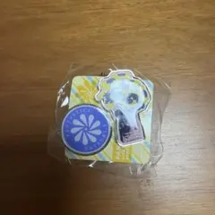 FANTASTICS SUNFLOWER 澤本夏輝　ガチャ ピンバッジセット