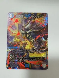 飛翔龍5000vt 超銀トレ 1枚 フライングブイ
