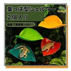 ✨爬虫類シェルター 葉っぱ型 2個セット 吸盤付き 水槽 ケージ用 ペット用品