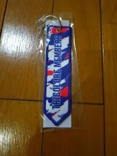 横浜F・マリノス TRICOLORE MEMBERS キーホルダー