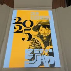 少年ジャンプ非売品イラスト集 COLOR ILLUSTRATIONS 2025 - メルカリ