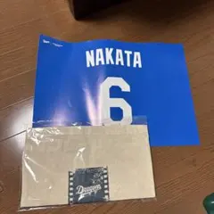 ドラゴンズ応援ボード 中日ドラゴンズ☆引退セレモニー 応援ボード - メルカリ