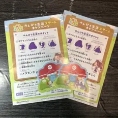 ステッカー　シール2枚セット　ぽこあポケモン ポケモンセンター非売品