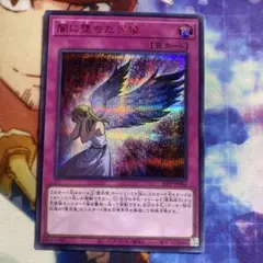 櫂ト四季様 リクエスト 3点 まとめ商品