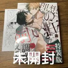 職場のイケメン営業は理想の飼い主様2　特装版　応援書店ペーパー付き　nocori