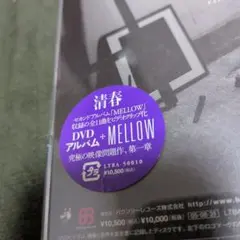 清春/MELLOW