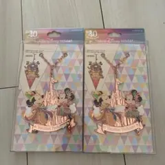 ディズニー　40周年　バケーションパッケージ　バックチャーム　2個セット