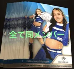 12枚セット 水落桜子