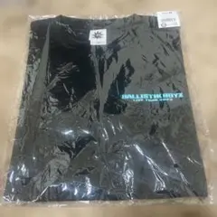 Item thumbnail for item cbed91ed-4257-4797-b6f7-7ed8d6ae7414