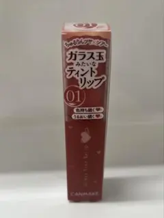 CANMAKE グラスティングリップ 01