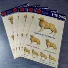 ②THE DOG ゴールデンレトリバー ステッカー シール 5枚 レトロ