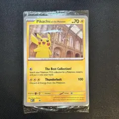 ポケモンカード ピカチュウ イオン 限定 プロモ 新品未開封 Pikachu 2026年最新】ピカチュウ イオン カードの人気アイテム - メルカリ