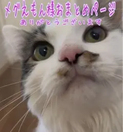 専用ページ ゆきえもん!!プロフ要確認!!様 - メルカリ